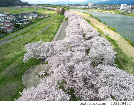 Aerial view of Kitakami Tenshochi Park in Iwate Prefecture, where cherry blossoms are in full bloom. Aerial view of Kitakami Tenshochi Park in Iwate Prefecture, where cherry blossoms are in full bloom. 138139432