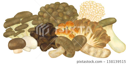各種蘑菇的合集插圖 各種蘑菇的合集插圖 138139515