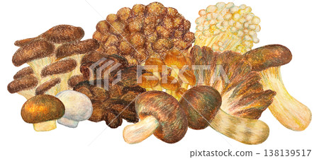 一幅油畫棒作品,描繪了各種蘑菇。 一幅油畫棒作品,描繪了各種蘑菇。 138139517