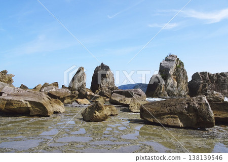 Wakayama Prefecture: Hashigui-iwa Rocks / Coastline lined with giant boulders [Nanki Kumano Geopark] Kushimoto Town 138139546