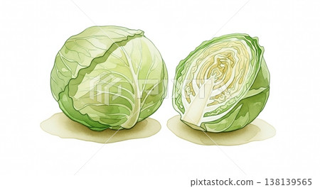 一幅柔和的水彩插圖，描繪了新鮮多汁的捲心菜；一幅筆觸溫柔的自然蔬菜圖。 138139565