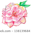 Watercolor illustration of peach blossoms 138139684