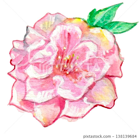 桃花水彩插畫 桃花水彩插畫 138139684