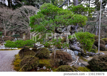 Manshuin garden style 138139878