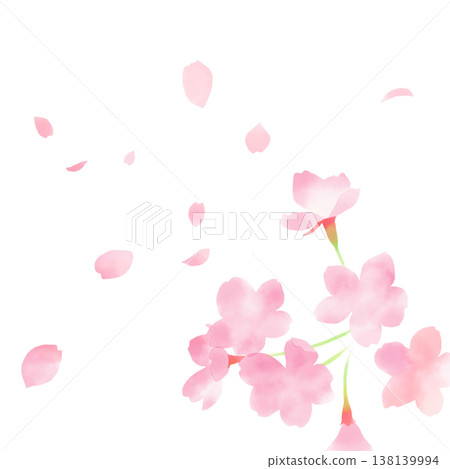 水彩風格的櫻花和花瓣插圖 水彩風格的櫻花和花瓣插圖 138139994