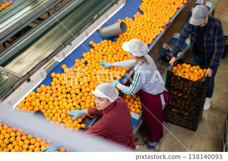 Group of people working at tangerines sorting factory line 138140093