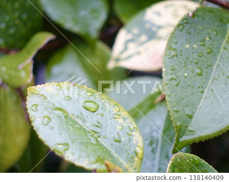 雨淋濕了 138140409