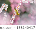 梅花和白眼 138140417
