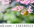 櫻花和繡眼花（岡目櫻花） 138140523