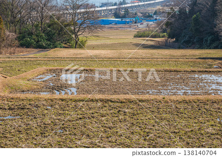 Terraced rice fields in the Kosei region, Kitakomatsu, Otsu City, Shiga Prefecture 138140704