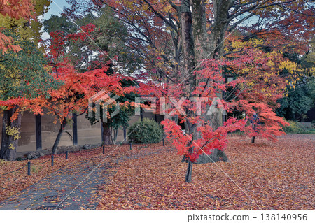 Serene Garden At Sanjusangen Do Temple Kyoto Japan Scenic View Nov 28 2025 Serene Garden At Sanjusangen Do Temple Kyoto Japan Scenic View Nov 28 2025 138140956