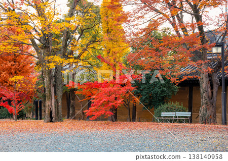Serene Garden At Sanjusangen Do Temple Kyoto Japan Scenic View Nov 28 2025 138140958