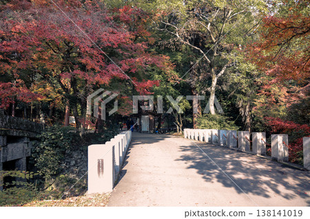 Elegant Omiya Bridge Leading to Hiyoshi Taisha Shrine Nov 27 2025 Elegant Omiya Bridge Leading to Hiyoshi Taisha Shrine Nov 27 2025 138141019