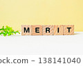 MERIT 138141040