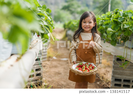 happy preschool child girl carrying a wicker basket full of strawberry in farm 138141517