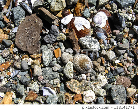 A Limpet's Conical Shell On The Beach  138141771