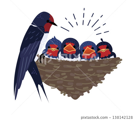 燕子一家(巢、雛鳥和覓食)的插圖。 燕子一家(巢、雛鳥和覓食)的插圖。 138142128