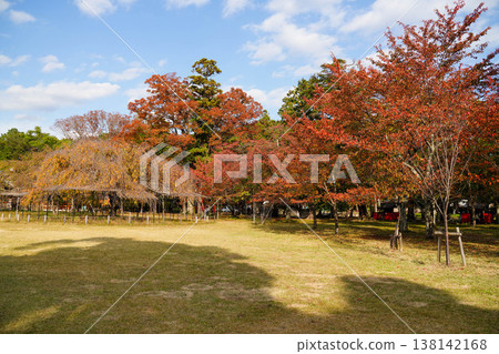 Autumn scenery of the horse riding grounds within the grounds of Kamigamo Shrine Autumn scenery of the horse riding grounds within the grounds of Kamigamo Shrine 138142168