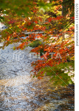 潺潺溪流穿過上賀茂神社，秋葉映照其間。 138142270
