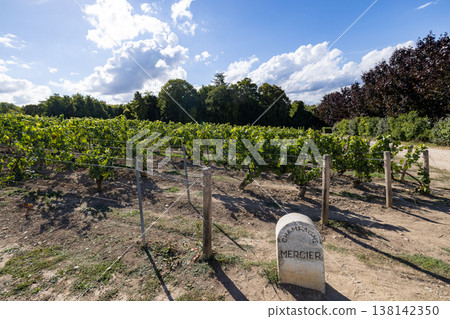 L'Avenue de Champagne, Epernay, Marne, Grand-Est, France, August, 28th, 2025, Champagne Area 138142350