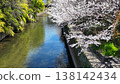 Cherry blossoms blooming along the Tsuboi River 138142434