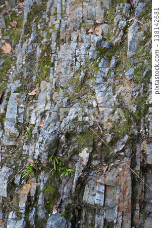 Rocks exposed within the grounds of Kamigamo Shrine Rocks exposed within the grounds of Kamigamo Shrine 138142681