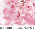 櫻桃樹 138142704