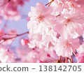 櫻桃樹 138142705