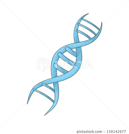 Illustration of DNA Illustration of DNA 138142877