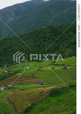 ecology travel with camping outdoor relax in rice field at chiangmai thailand in raining season ecology travel with camping outdoor relax in rice field at chiangmai thailand in raining season 138143047