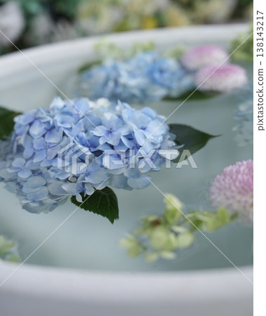 Cute hydrangea flowers floating in the water basin Cute hydrangea flowers floating in the water basin 138143217