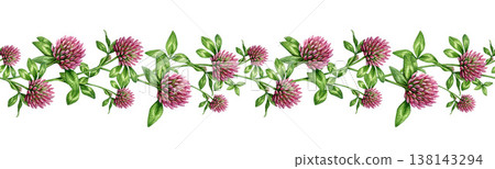 Red clover herb seamless border floral decor element isolated. Hand drawn trifolium pratense watercolor illustration medicinal herb botanical decoration for healthcare design, packaging, branding 138143294