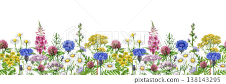 Apothecary wildflower herbs seamless border isolated. Watercolor illustration with detailed botanical herbs for herbal medicine, apothecary collection, packaging, prints and natural wellness design Apothecary wildflower herbs seamless border isolated. Watercolor illustration with detailed botanical herbs for herbal medicine, apothecary collection, packaging, prints and natural wellness design 138143295