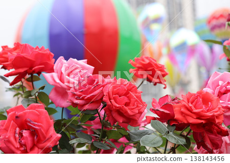 March 21 2026 Vibrant roses bloom beneath colorful rising hot air balloons March 21 2026 Vibrant roses bloom beneath colorful rising hot air balloons 138143456