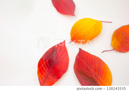 An image of autumn leaves fall An image of autumn leaves fall 138143535