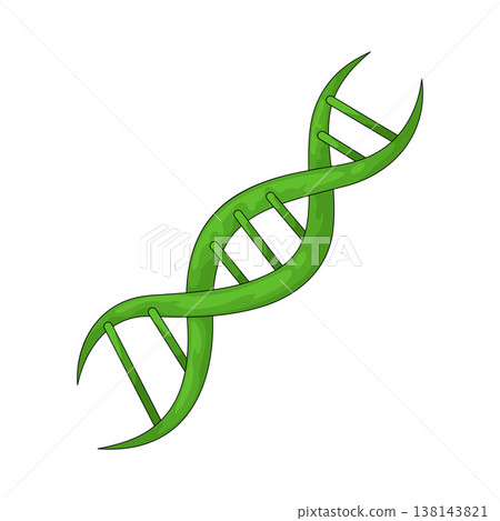Illustration of DNA Illustration of DNA 138143821