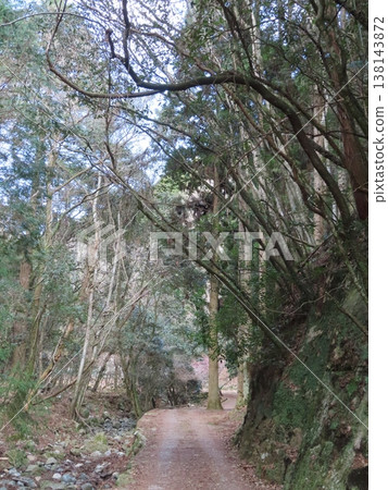 Sakamoto Baien, a village of magnificent plum blossoms, Iwaki, Kamigori Town, a mountain path leading to the Nishiharima Flower Village. Sakamoto Baien, a village of magnificent plum blossoms, Iwaki, Kamigori Town, a mountain path leading to the Nishiharima Flower Village. 138143872
