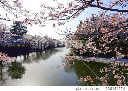 櫻花盛開,花筏,松崎公園,櫻花,櫻花,染井吉野櫻花樹 櫻花盛開,花筏,松崎公園,櫻花,櫻花,染井吉野櫻花樹 138144254