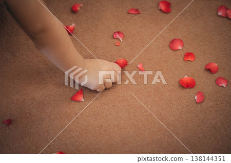 Close-up of a Child's Hand Picking Up Red Rose Petals on the Floor Close-up of a Child's Hand Picking Up Red Rose Petals on the Floor 138144351