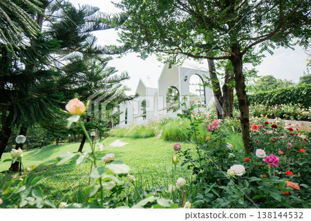 Modern White Minimalist Architecture in a Lush Rose Garden Landscape Modern White Minimalist Architecture in a Lush Rose Garden Landscape 138144532