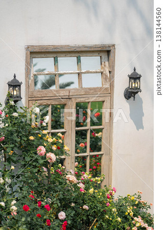 Rustic Wooden Window Reflecting Colorful Roses on a White Minimalist Wall Rustic Wooden Window Reflecting Colorful Roses on a White Minimalist Wall 138144560