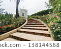 Sunny Stone Steps Leading to a Modern White Building in a Blooming Rose Garden 138144568
