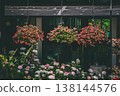 Trio of Beautiful Pink Hanging Flower Baskets Under a Dark Roof 138144576