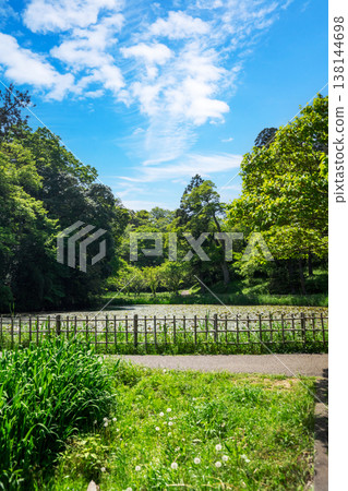 Refreshing park scenery Refreshing park scenery 138144698