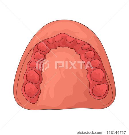 Illustration of dental mold 138144737