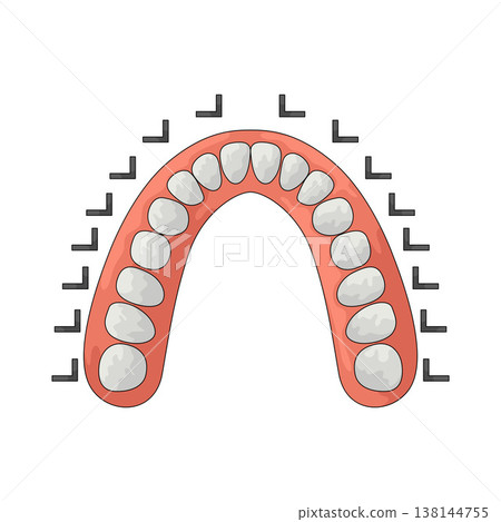 Illustration of denture Illustration of denture 138144755