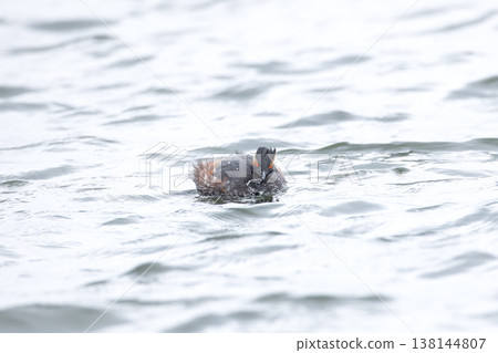 Hajiro Kaiburi 138144807