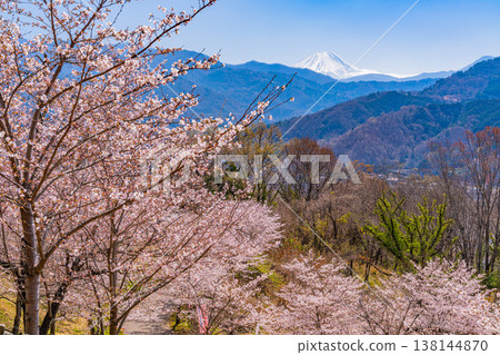 Cherry blossoms and Mt. Fuji at Daihoshi Park (Yamanashi Prefecture) Cherry blossoms and Mt. Fuji at Daihoshi Park (Yamanashi Prefecture) 138144870