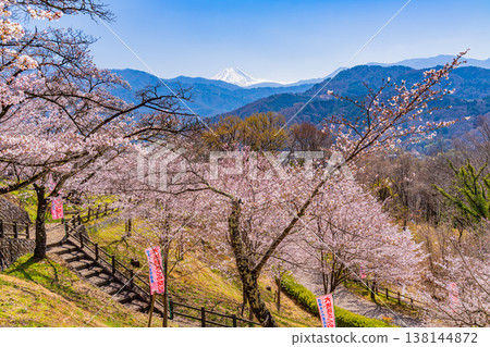 Cherry blossoms and Mt. Fuji at Daihoshi Park (Yamanashi Prefecture) Cherry blossoms and Mt. Fuji at Daihoshi Park (Yamanashi Prefecture) 138144872