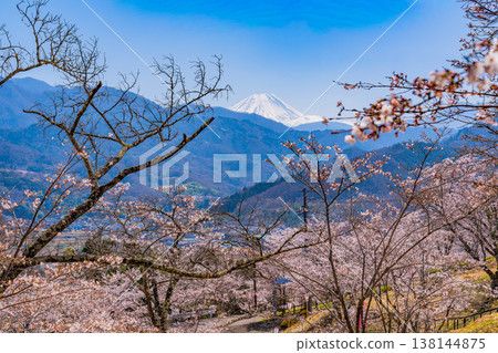 大星公園（山梨縣）的櫻花和富士山 138144875
